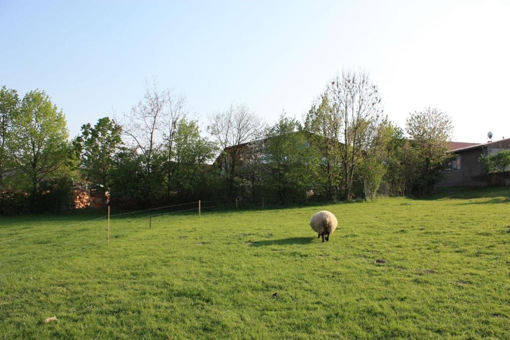 Landhotel Rosenschaenke Kreischa Exteriör bild