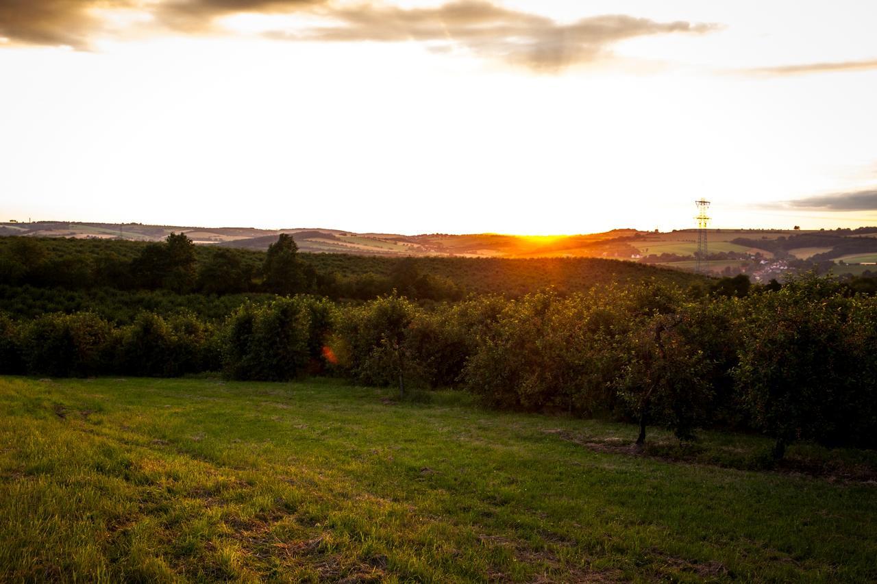 Landhotel Rosenschaenke Kreischa Exteriör bild